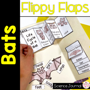 Bat Activities Interactive Notebook Lapbook