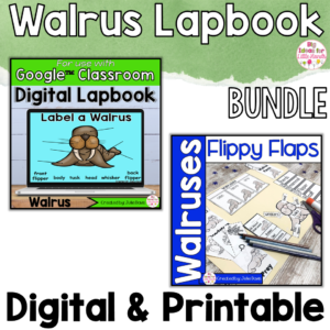 Walrus Activities Interactive Notebook Digital and Printable Bundle
