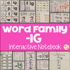 IG Word Family Interactive Notebook
