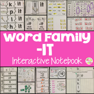 IT Word Family Interactive Notebook