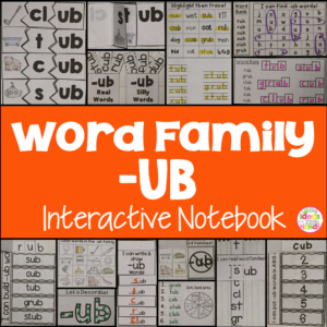 UB Word Family Interactive Notebook