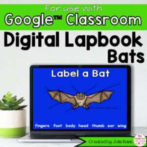 Bats Digital Interactive Notebook for Google Classroom