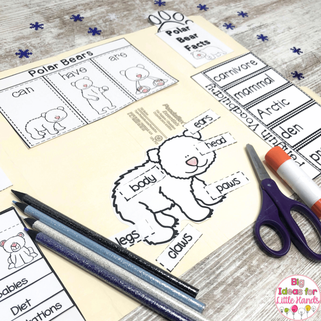 This photo highlights an all about polar bears lap book.