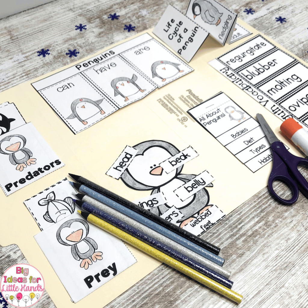 This flippy flap activity focuses on penguins including their needs, habitat and features.