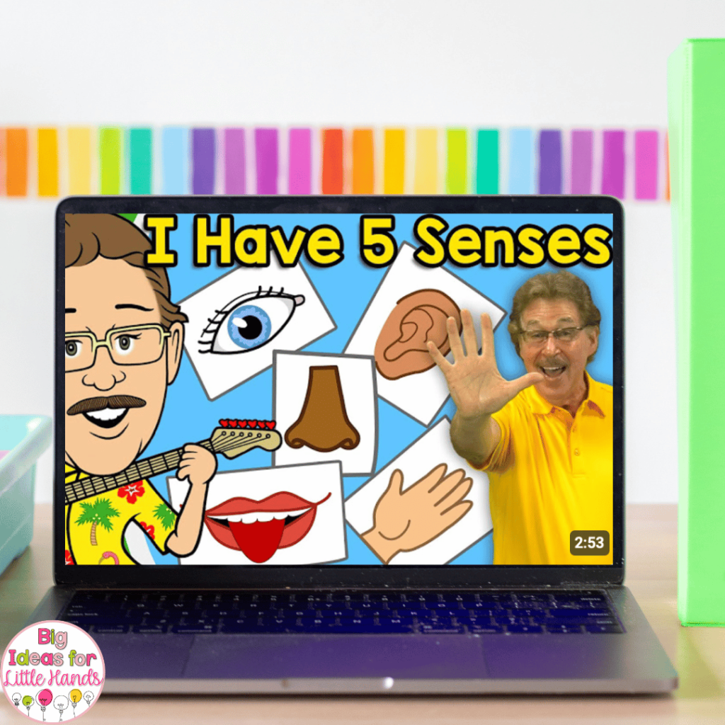 Kick off your five senses activities with engaging videos like this one by Jack Hartmann.