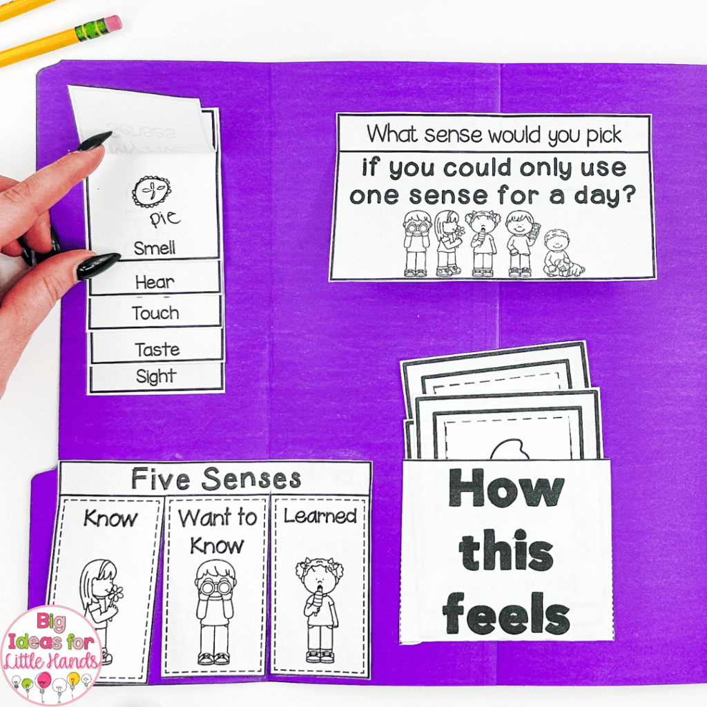 This lap book is a great addition to your five senses activities.