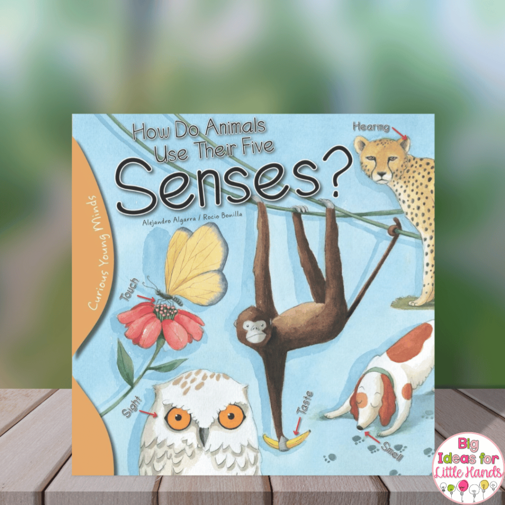 Share books like "How do Animals use their five senses?" during your 5 senses unit.