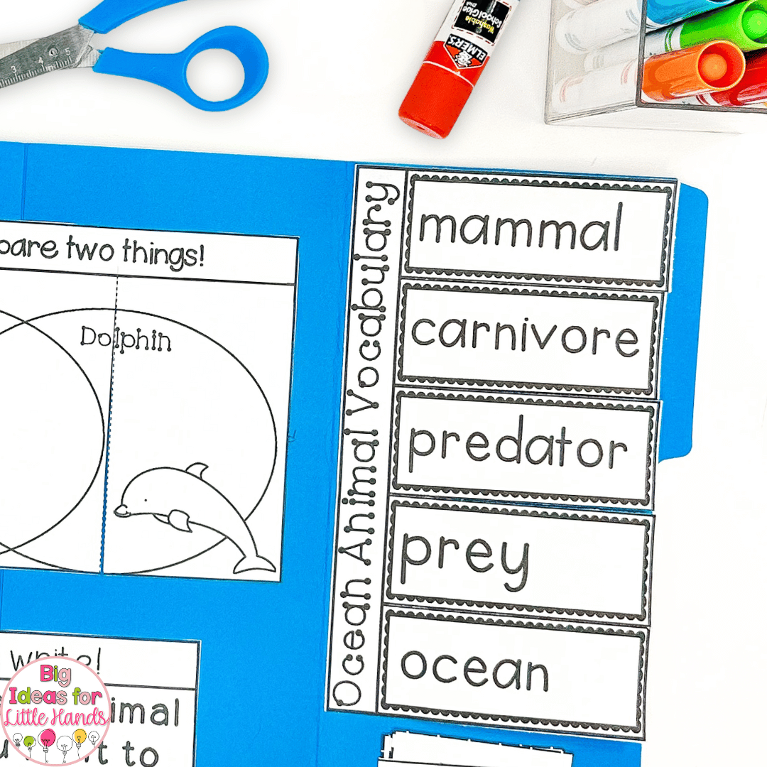 Using these ocean animals activities, students will be able to learn key vocabulary words.
