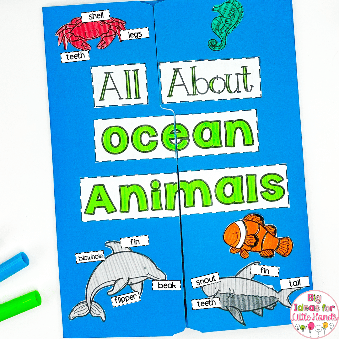Students can abel parts of creatures like dolphins, sharks and crabs with this lapbook.