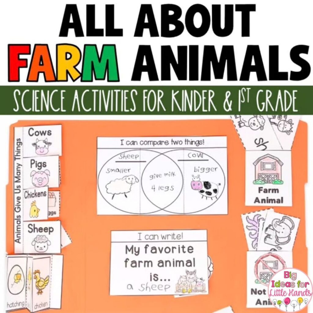 Students can learn all about farm animals using this lapbook resource from my TPT shop.